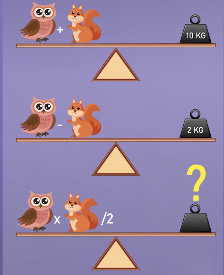 test casse test qi hibou et ecureuil